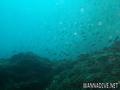 foto de buceo