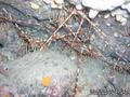 foto de buceo