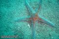 foto de buceo