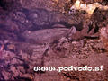 foto de buceo