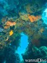 foto de buceo