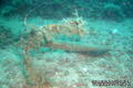 foto de buceo