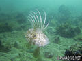 foto de buceo