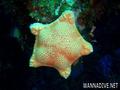 foto de buceo