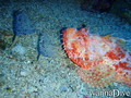 foto de buceo