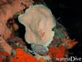foto de buceo