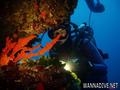 foto de buceo