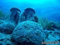 foto de buceo