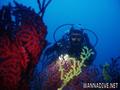 foto de buceo