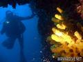 foto de buceo