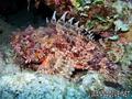 foto de buceo
