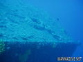 foto de buceo