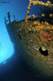 foto de buceo