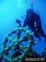 foto de buceo
