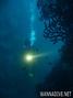 foto de buceo