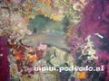 foto de buceo