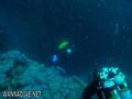 foto de buceo