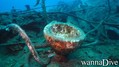 foto de buceo