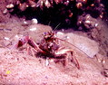 foto de buceo