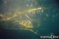 foto de buceo