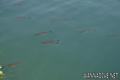 foto de buceo