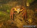 foto de buceo