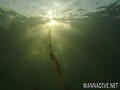 foto de buceo