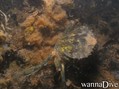foto de buceo