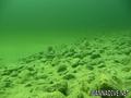 foto de buceo