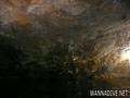 foto de buceo