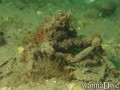 foto de buceo