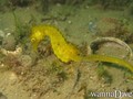 foto de buceo