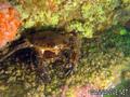 foto de buceo