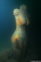 foto de buceo