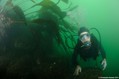 foto de buceo
