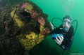 foto de buceo