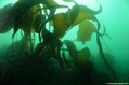 foto de buceo