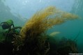 foto de buceo
