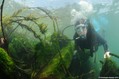 foto de buceo