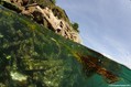 foto de buceo
