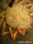 foto de buceo