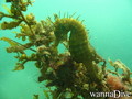 foto de buceo