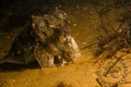 foto de buceo
