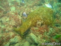 foto de buceo