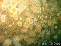 foto de buceo