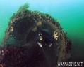 foto de buceo