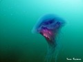 foto de buceo