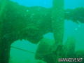 foto de buceo