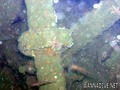 foto de buceo