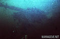 foto de buceo